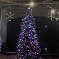 Covered Bridge Tree