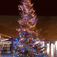 2023 Christmas Tree