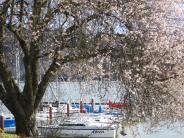 lowell state park marina 