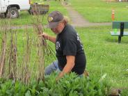 Pulling weeds