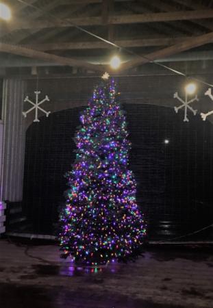 Covered Bridge Tree