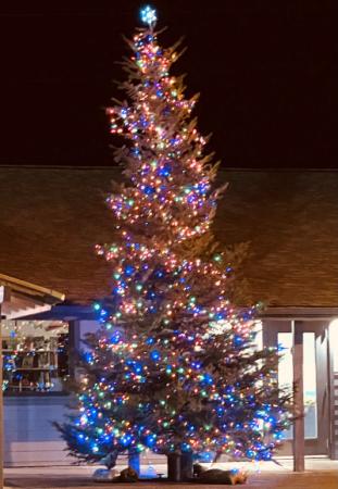 2023 Christmas Tree
