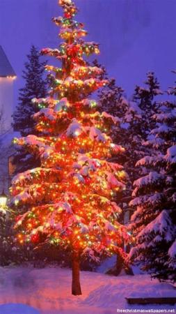 Christmas Tree