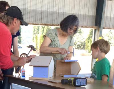 Building Bird Houses