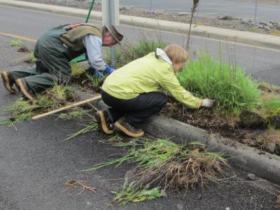 Volunteers working hard
