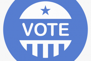 Elections Icon
